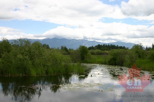 wetlands