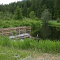 Pond