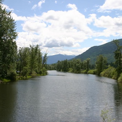 Creston