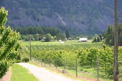 orchards-ericksson 001.jpg