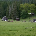 Farms