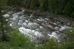 Goat River Rapids
