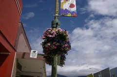 Downtown flowers in Creston Flowers in Creston creston-mural _2_.jpg