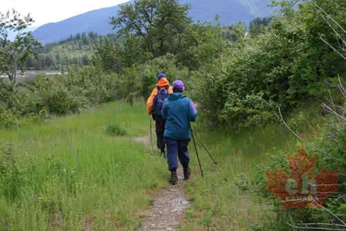 Hikers