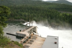 dam 001.jpg