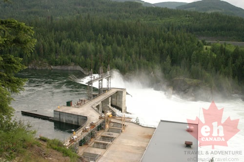 dam 001.jpg