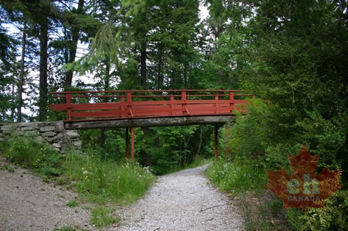 Walking Path (805 visits) Path in the trees Walking Trails in Gyro Park Walking Path