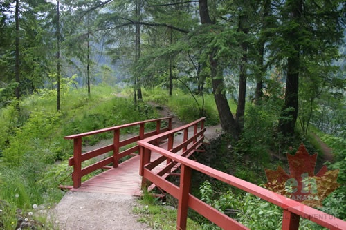 Foot Bridge (758 visits) Walking trail in park Foot Bridge in path Foot Bridge