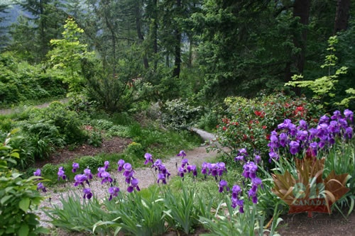 Flower Gardens (766 visits) Flowers in garden Flower gardens in Gyro Park Flower Gardens