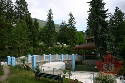 Swimming Pool Bridge