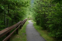 Hiking Trail