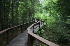 Boardwalk Trail