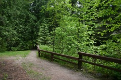 Walking Path