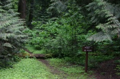 Thicket Trail Sign