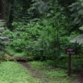 Thicket Trail Sign