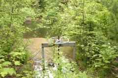Spawning Channel