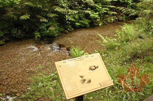 Interpretive Signs