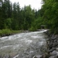 Kokanee Creek