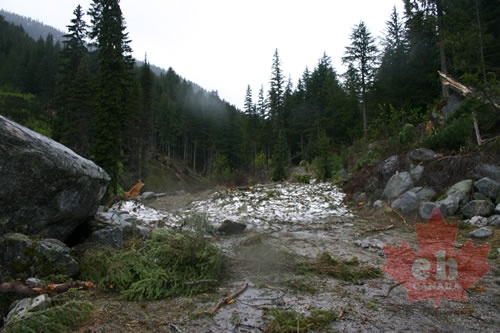 Old Avalanche Remains