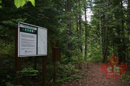 trailhead-signs 002.jpg