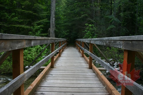 Sproule Creek Trails
