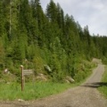 Forestry Sign Pointing the Way