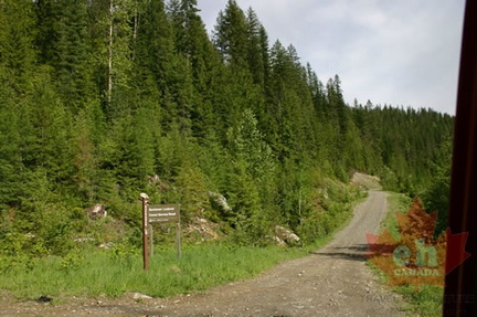 Forestry Sign Pointing the Way