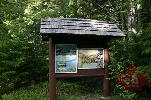 signs 004.jpg
