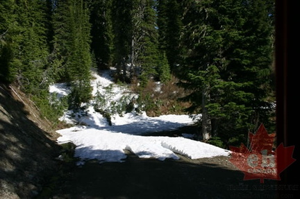Snow Line