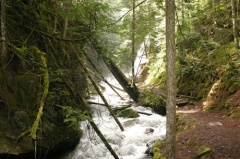 Hiking Trail