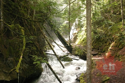 Hiking Trail