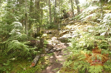 Hiking Trail