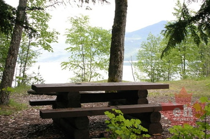 Picnicking