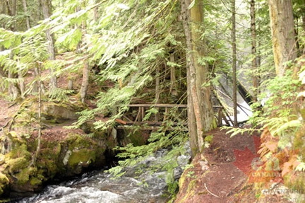 Foot Bridge