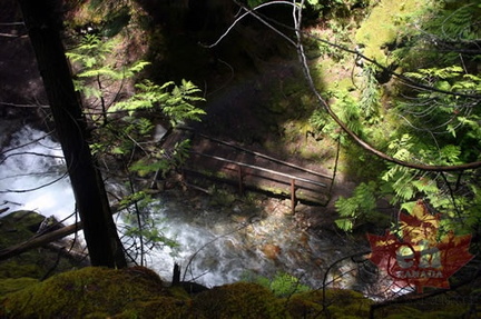 Looking Down from Trail