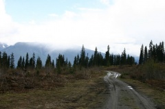 Backcountry Roads