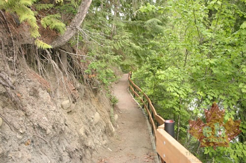 Hiking Trail (994 visits) Trail with guard rails Hiking near the Kaslo River Hiking Trail
