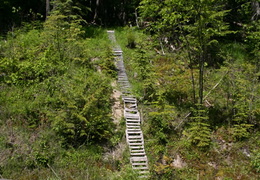 Hiking Trail Ladder (616 visits) Ladder connecting trail across highway Ladder leading onto trail Hiking Trail Ladder