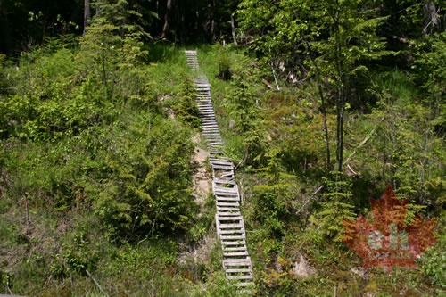 Hiking Trail Ladder