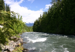 Kaslo River (576 visits) River as senn from Hwy #31 Kaslo River Kaslo River