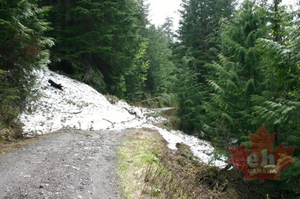 Snow Slide