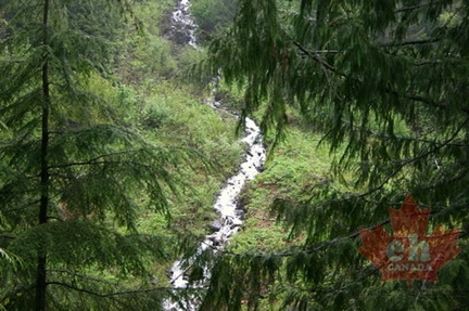 Glacier Run Off