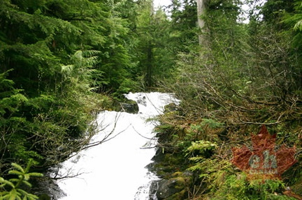 River Rapids