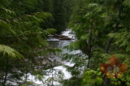 River Rapids