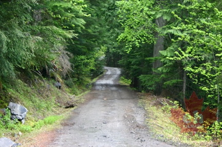 Gravel Access Road