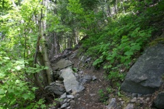 Rocky Trail