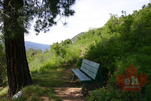 Viewing Bench