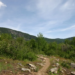 Dove Hill Trail