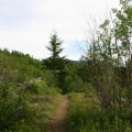 Hiking Trail