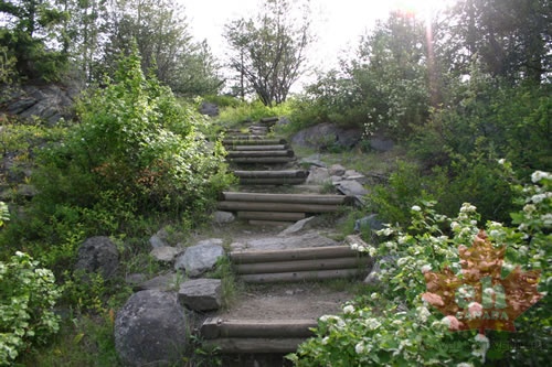 Wooden Steps to Lookout